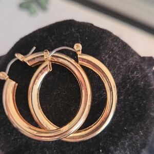 Elegant Gold Hoop Earrings